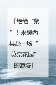 绝绝“紫”！来郧西县赴一场“莫奈花园”的浪漫