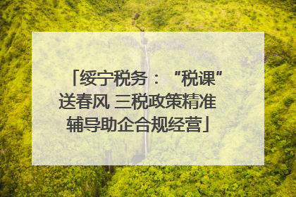 绥宁税务：“税课”送春风 三税政策精准辅导助企合规经营