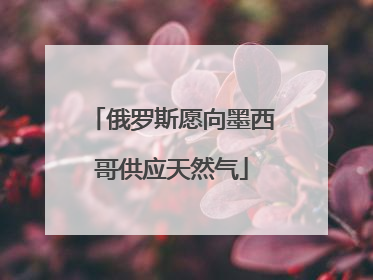俄罗斯愿向墨西哥供应天然气