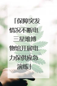 保障突发情况不断电 三星堆博物馆开展电力保供应急演练
