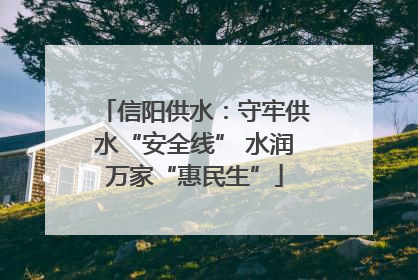 信阳供水：守牢供水“安全线” 水润万家“惠民生”