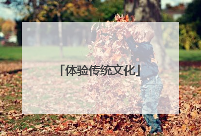 体验传统文化