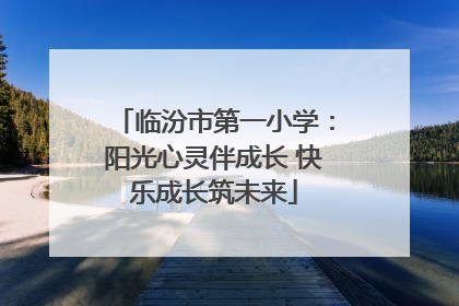 临汾市第一小学：阳光心灵伴成长 快乐成长筑未来