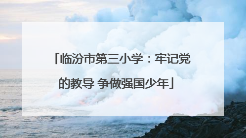 临汾市第三小学：牢记党的教导 争做强国少年