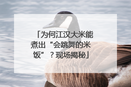 为何江汉大米能煮出“会跳舞的米饭”？现场揭秘
