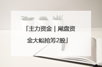 主力资金｜尾盘资金大幅抢筹2股