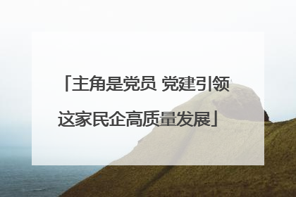 主角是党员 党建引领这家民企高质量发展