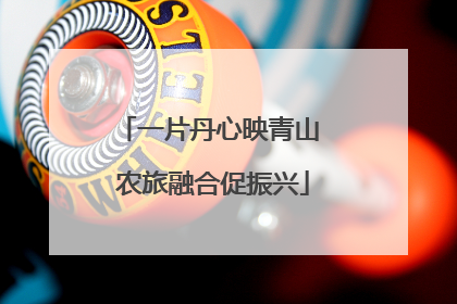 一片丹心映青山 农旅融合促振兴