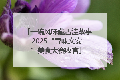 一碗风味藏古洼故事 2025“寻味文安”美食大赛收官