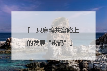 一只麻鸭共富路上的发展“密码”