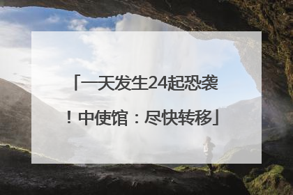 一天发生24起恐袭！中使馆：尽快转移