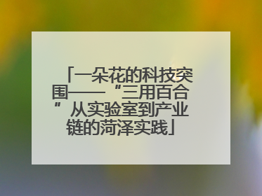 一朵花的科技突围——“三用百合”从实验室到产业链的菏泽实践