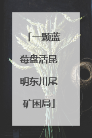 一颗蓝莓盘活昆明东川尾矿困局