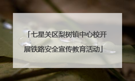 七星关区梨树镇中心校开展铁路安全宣传教育活动