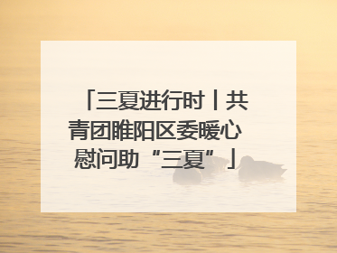 三夏进行时丨共青团睢阳区委暖心慰问助“三夏”