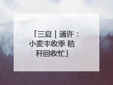 三夏｜通许：小麦丰收季 秸秆回收忙