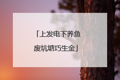 上发电下养鱼 废坑塘巧生金
