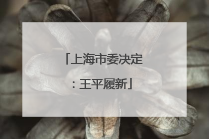 上海市委决定：王平履新