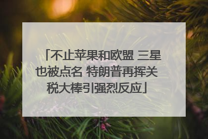 不止苹果和欧盟 三星也被点名 特朗普再挥关税大棒引强烈反应
