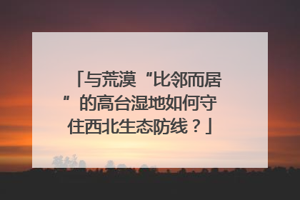 与荒漠“比邻而居”的高台湿地如何守住西北生态防线？