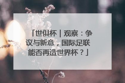 世俱杯｜观察：争议与新意，国际足联能否再造世界杯？