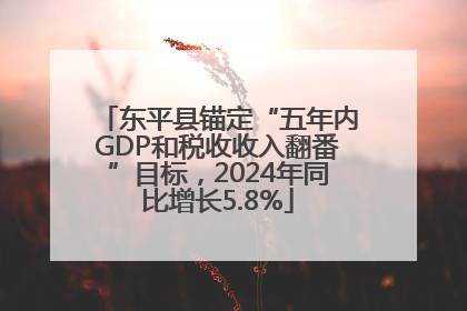 东平县锚定“五年内GDP和税收收入翻番”目标，2024年同比增长5.8%
