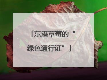 东港草莓的“绿色通行证”