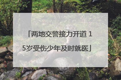 两地交警接力开道 15岁受伤少年及时就医