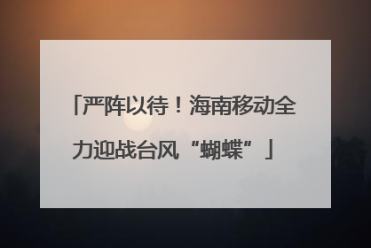 严阵以待！海南移动全力迎战台风“蝴蝶”