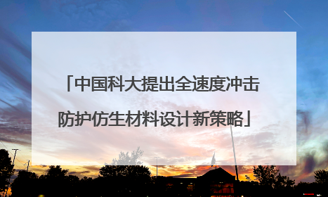 中国科大提出全速度冲击防护仿生材料设计新策略