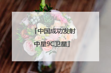 中国成功发射中星9C卫星