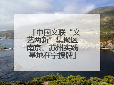 中国文联“文艺两新”集聚区南京、苏州实践基地在宁授牌