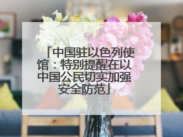 中国驻以色列使馆：特别提醒在以中国公民切实加强安全防范