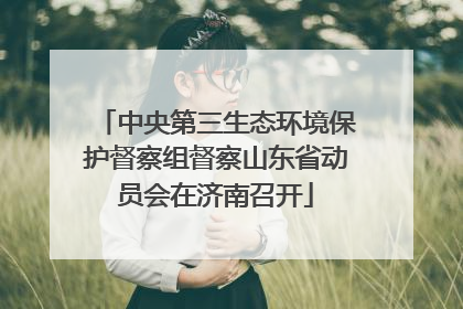 中央第三生态环境保护督察组督察山东省动员会在济南召开