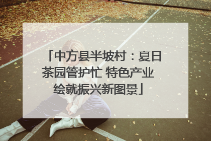 中方县半坡村：夏日茶园管护忙 特色产业绘就振兴新图景