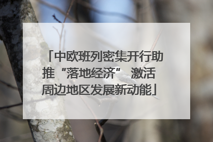中欧班列密集开行助推“落地经济” 激活周边地区发展新动能