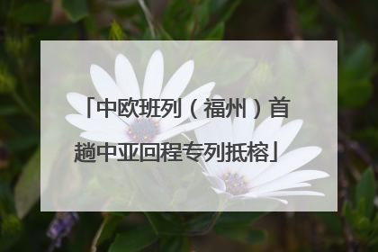 中欧班列（福州）首趟中亚回程专列抵榕