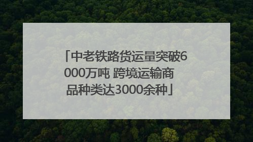 中老铁路货运量突破6000万吨 跨境运输商品种类达3000余种