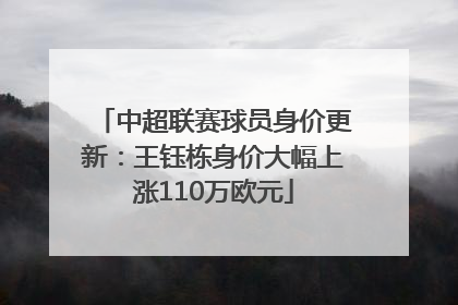 中超联赛球员身价更新：王钰栋身价大幅上涨110万欧元
