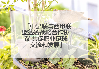 中足联与西甲联盟签署战略合作协议 共促职业足球交流和发展