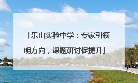 乐山实验中学：专家引领明方向，课题研讨促提升