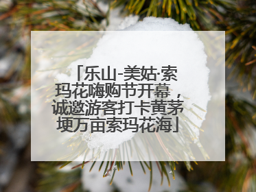 乐山-美姑·索玛花嗨购节开幕，诚邀游客打卡黄茅埂万亩索玛花海