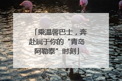 乘温馨巴士，奔赴属于你的“青岛阿勒泰”时刻