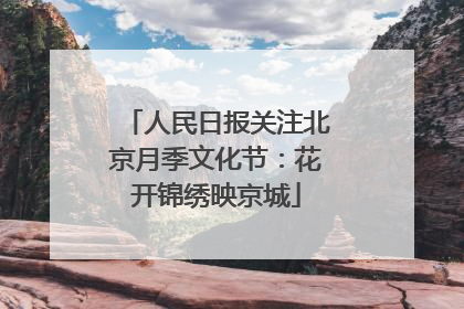 人民日报关注北京月季文化节：花开锦绣映京城