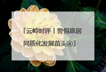云岭时评丨警惕旅居同质化发展苗头④