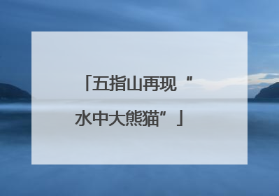 五指山再现“水中大熊猫”