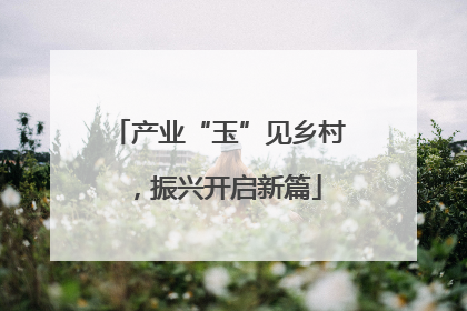产业“玉”见乡村，振兴开启新篇