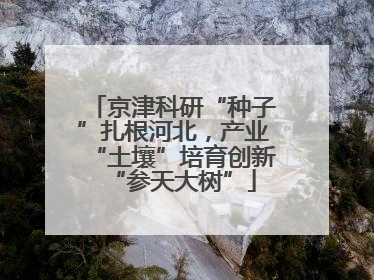 京津科研“种子”扎根河北，产业“土壤”培育创新“参天大树”