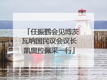 任振鹤会见博茨瓦纳国民议会议长凯奥拉佩采一行