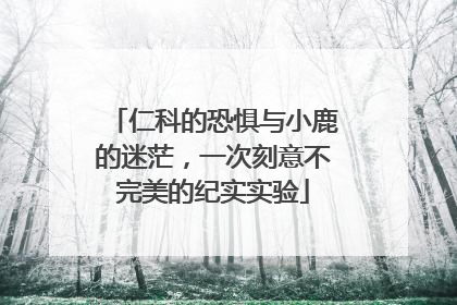 仁科的恐惧与小鹿的迷茫，一次刻意不完美的纪实实验